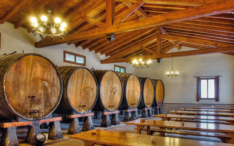 Sagardoetxea, the Cider Museum