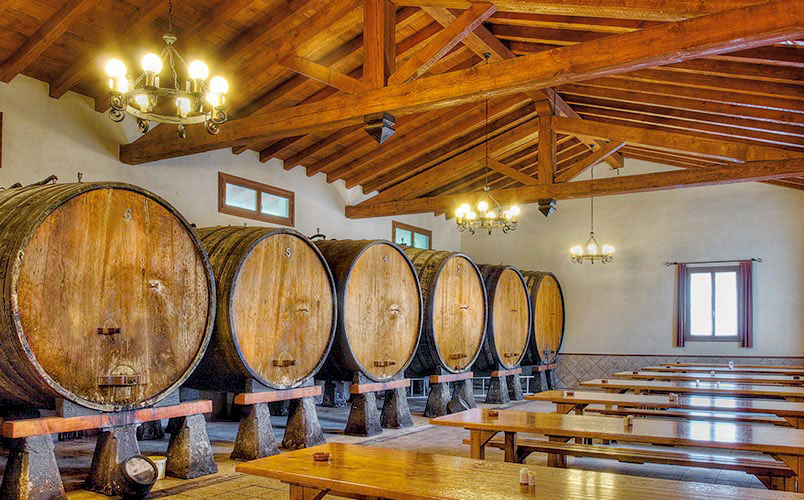 Experiencia sidrera en Astigarraga