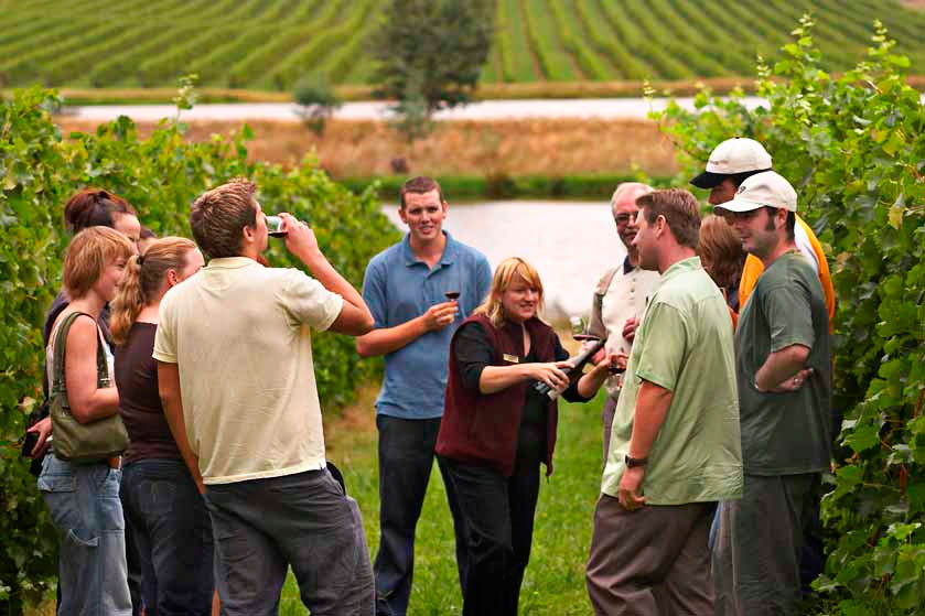 Visita con cata en dos bodegas de La Rioja Alavesa