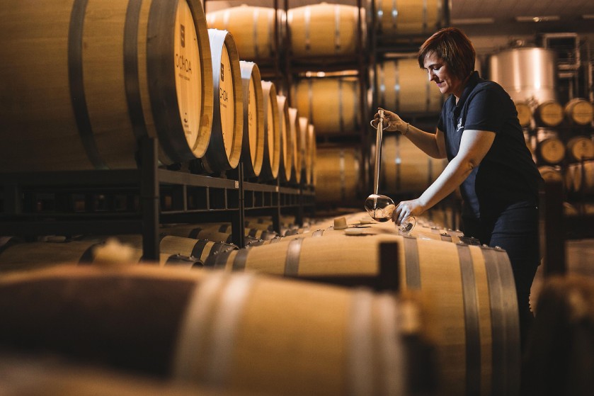 Visita con cata en dos bodegas de La Rioja Alavesa