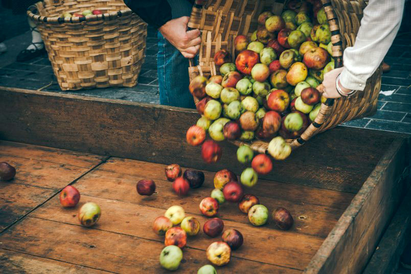 Basque farm and cider cellar (transport included)