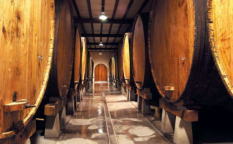 Experience of cider culture – Astigarraga