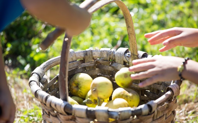 Sagardoetxea, museo de la sidra