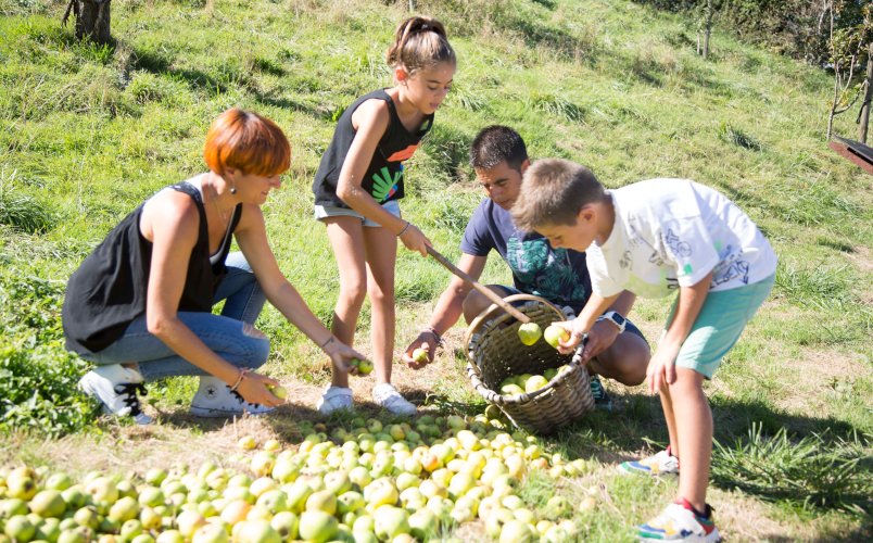 Sagardoetxea, museo de la sidra