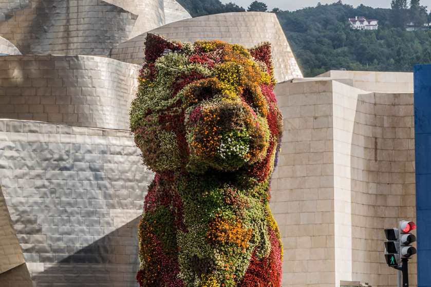 Tour de Bilbao desde San Sebastián