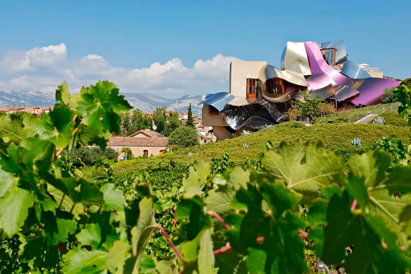Visita con cata en dos bodegas de La Rioja Alavesa
