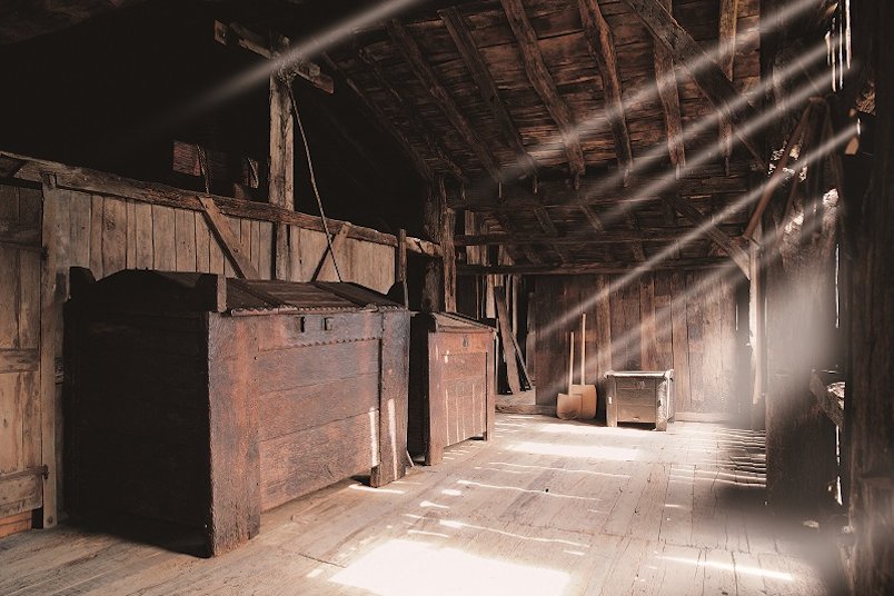 Caserío vasco y bodega de sidra (con transporte incluido)