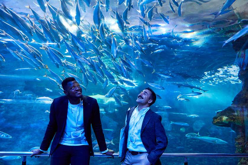 El Aquarium-Palacio del Mar de Donostia-San Sebastián