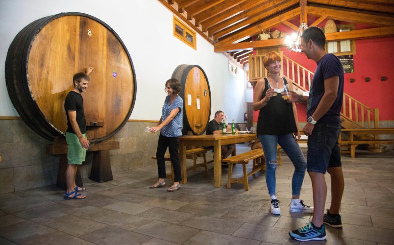 Expérience de la culture du cidre – Astigarraga